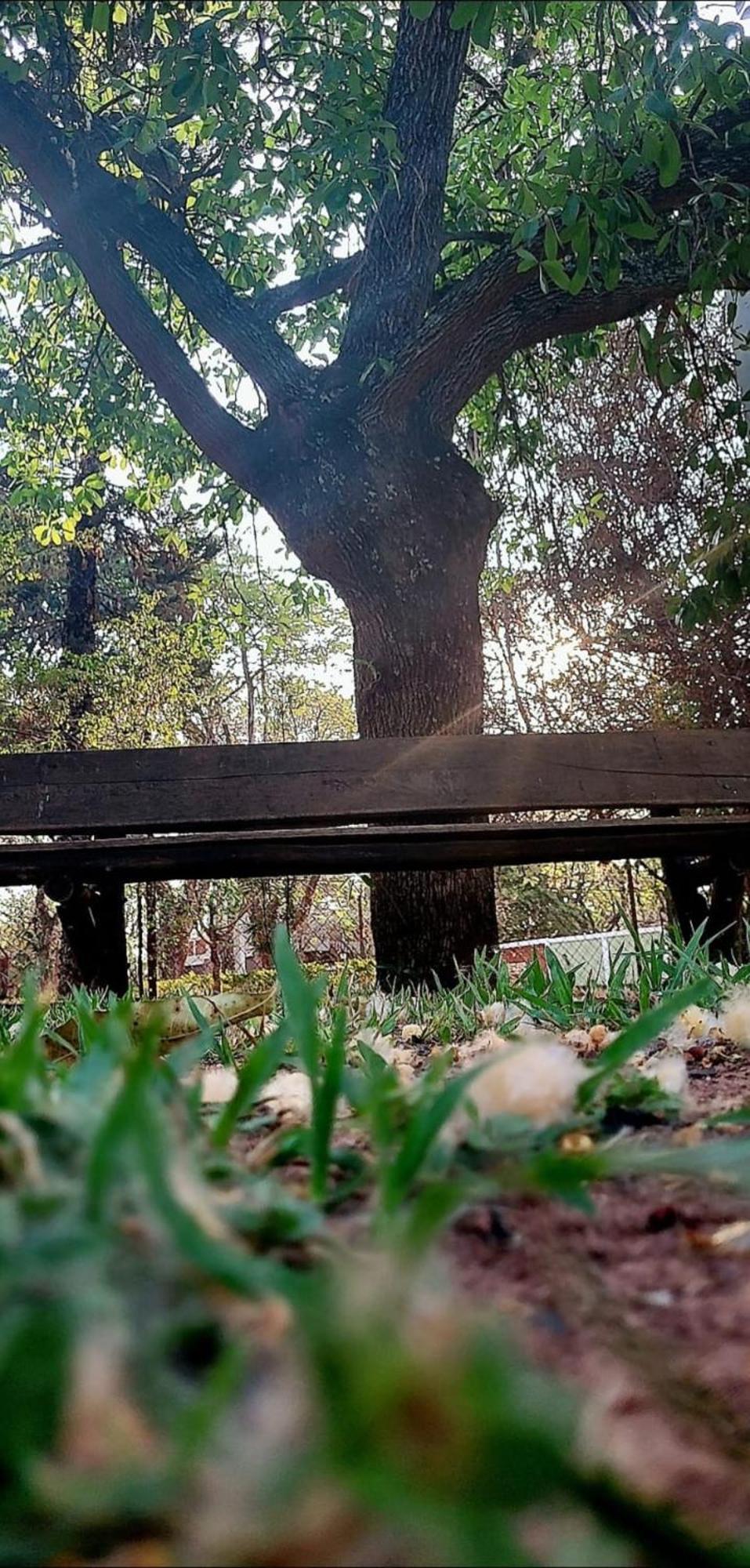 Pousada Chacara Kioski Brotas Bagian luar foto